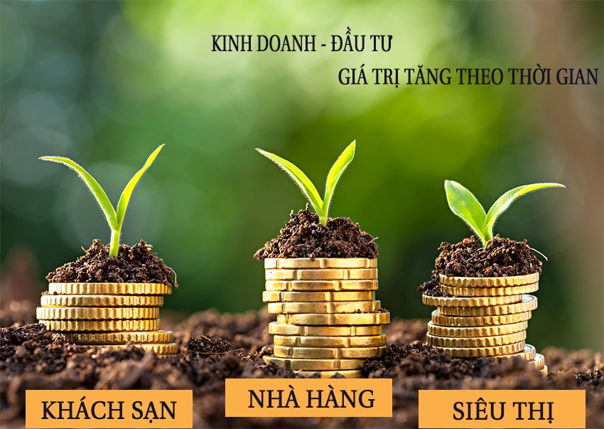 Bán đất DỰ ÁN SEAVIEW - GẦN COCOBAY - HOT Gia-tri-dau-tu-do-thi-duong-ngoc-min